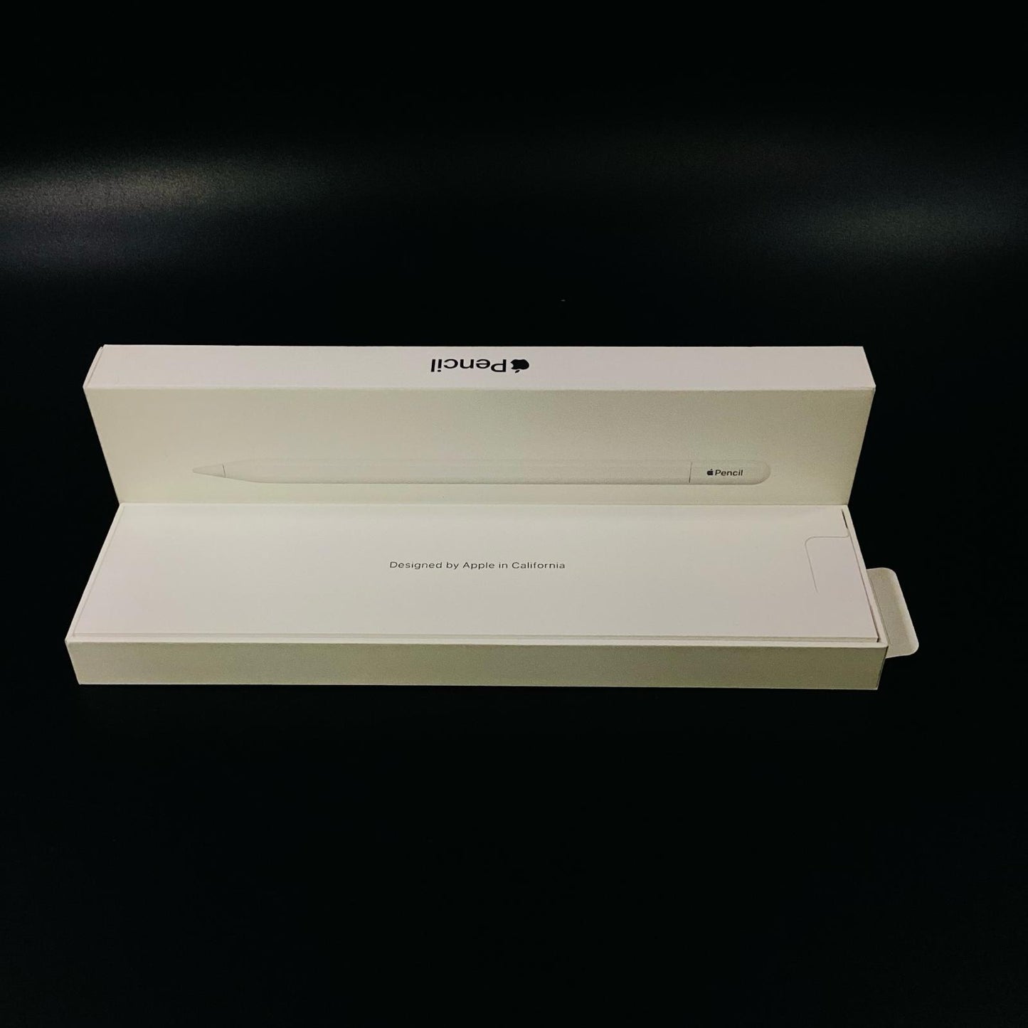 【全額返金保証】【最速発送】Apple Apple Pencil USB-C MUWA3ZA/A 超美品 動作確認済