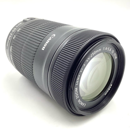 【全額返金保証】【最速発送】Canon EF-S55-250mm F4-5.6 IS STM 美品 動作確認済