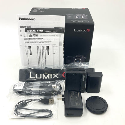 【全額返金保証】【最速発送】Panasonic デジタル一眼 LUMIX DC-G9 ブラック 美品 動作確認済