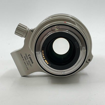 【全額返金保証】【最速発送】Canon EF28-300mm F3.5-5.6L IS USM 美品 動作確認済