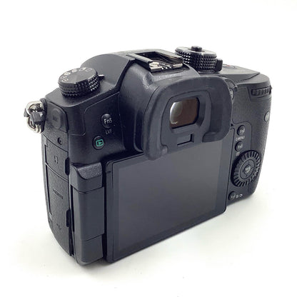 【全額返金保証】【最速発送】Panasonic デジタル一眼 LUMIX DC-GH5 ボディ ブラック 美品 動作確認済