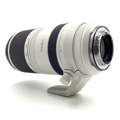 【全額返金保証】【最速発送】Canon RF100-500mm F4.5-7.1 L IS USM 美品 動作確認済