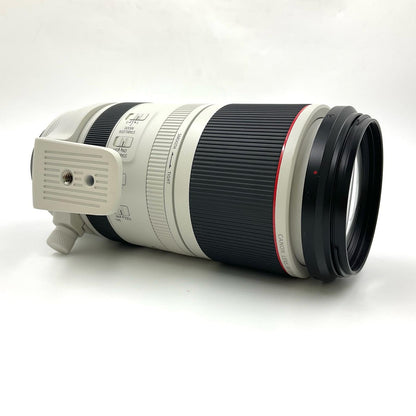 【全額返金保証】【最速発送】Canon RF100-500mm F4.5-7.1 L IS USM 美品 動作確認済
