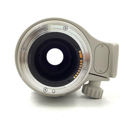 【全額返金保証】【最速発送】Canon EF100-400mm F4.5-5.6L IS USM 動作確認済