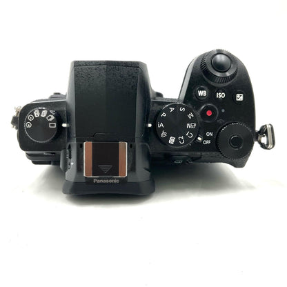 【全額返金保証】【最速発送】Panasonic デジタル一眼 LUMIX DC-G99 ボディ ブラック 美品 動作確認済