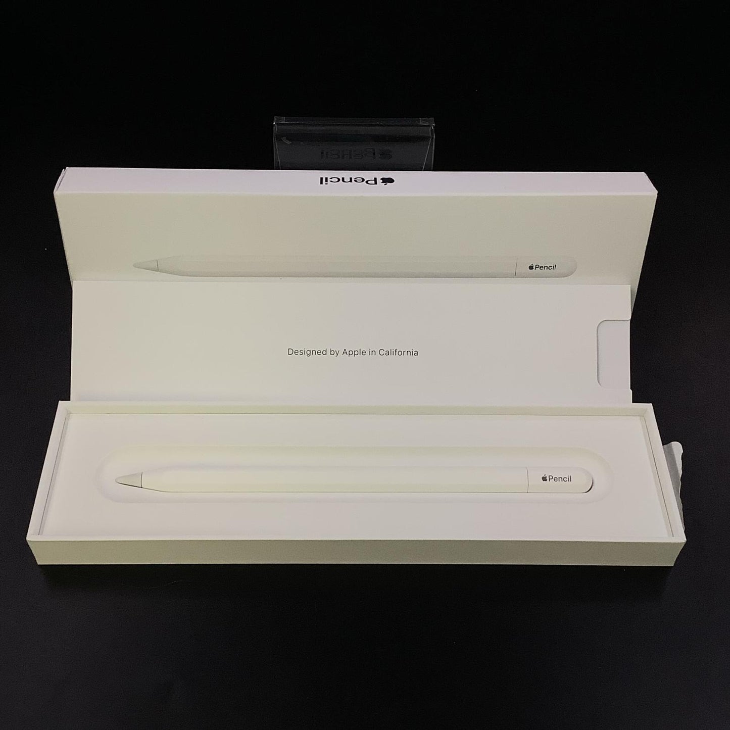 【全額返金保証】【最速発送】Apple Apple Pencil(USB-C) MUWA3A/A 美品 動作確認済
