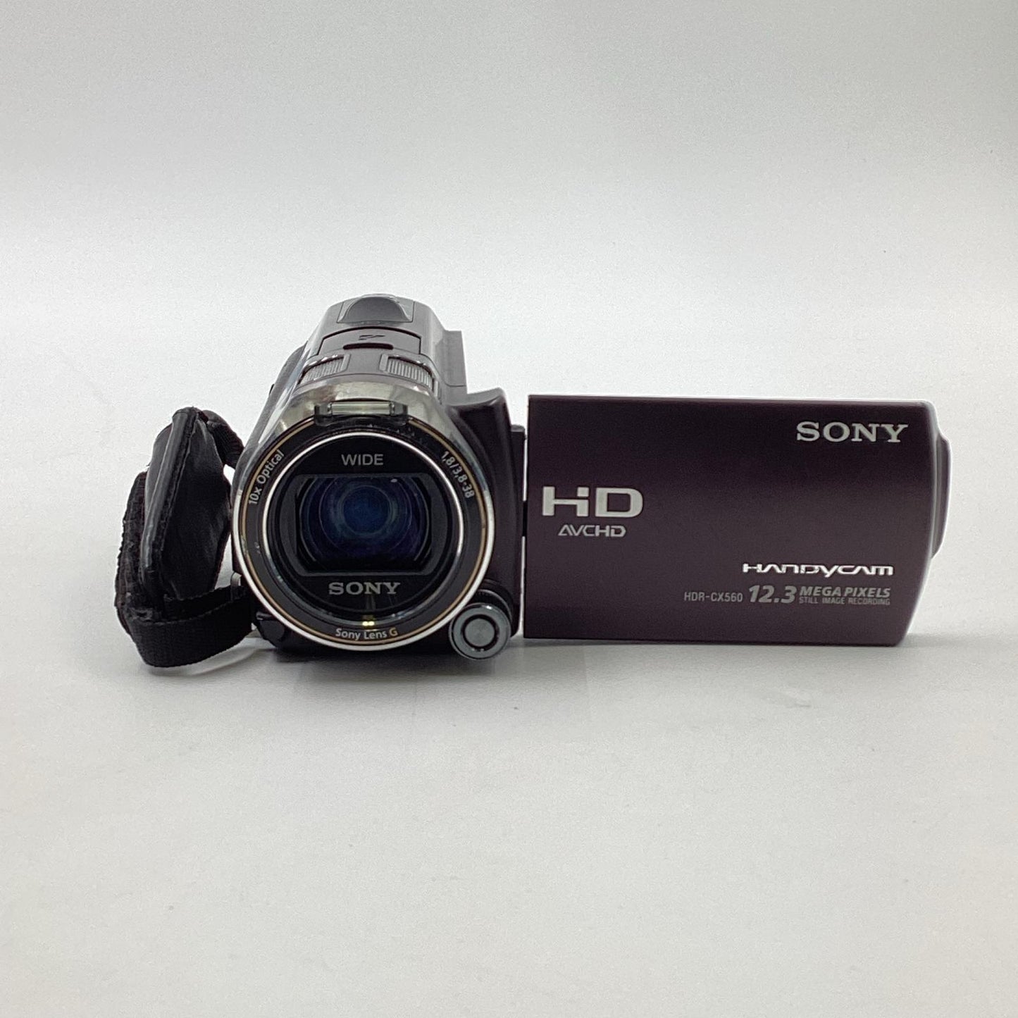【最速発送】Sony HDR-CX560V ブラウン【難有】