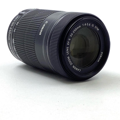 【全額返金保証】【最速発送】Canon EF-S55-250mm F4-5.6 IS STM 美品 動作確認済
