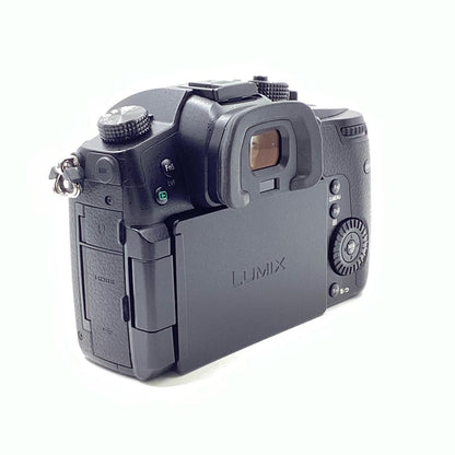 【全額返金保証】【最速発送】Panasonic デジタル一眼 LUMIX DC-GH5 ボディ ブラック 美品 動作確認済