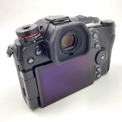 【全額返金保証】【最速発送】Panasonic デジタル一眼 LUMIX DC-G9 ボディ ブラック 美品 動作確認済