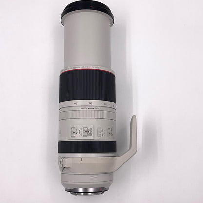 【全額返金保証】【最速発送】Canon RF100-500mm F4.5-7.1 L IS USM 美品 動作確認済