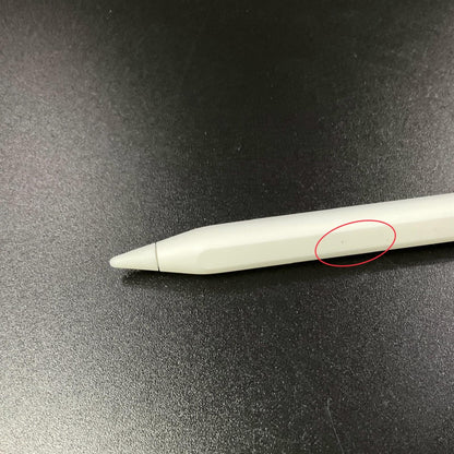 【全額返金保証】【最速発送】Apple Apple Pencil USB-C MUWA3ZA/A 超美品 動作確認済