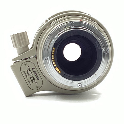 【全額返金保証】【最速発送】Canon EF100-400mm F4.5-5.6L IS USM 動作確認済