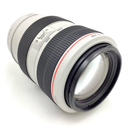 【全額返金保証】【最速発送】Canon EF70-300mm F4-5.6L IS USM 美品 動作確認済