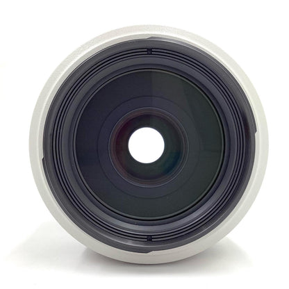 【全額返金保証】【最速発送】Canon EF70-300mm F4-5.6L IS USM 美品 動作確認済