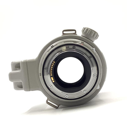 【全額返金保証】【最速発送】Canon EF300mm F2.8L IS II USM 動作確認済
