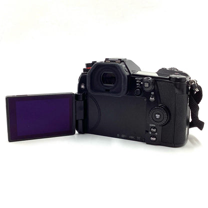 【全額返金保証】【最速発送】Panasonic デジタル一眼 LUMIX DC-G9 ボディ ブラック 美品 動作確認済