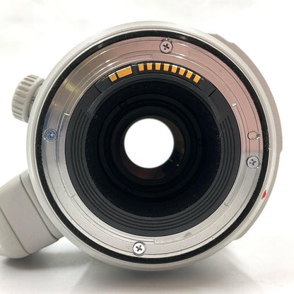 【全額返金保証】【最速発送】Canon EF 100-400mm F4.5-5.6L IS II USM 美品 動作確認済
