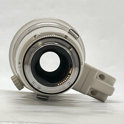 【全額返金保証】【最速発送】Canon EF800mm F5.6L IS USM 動作確認済