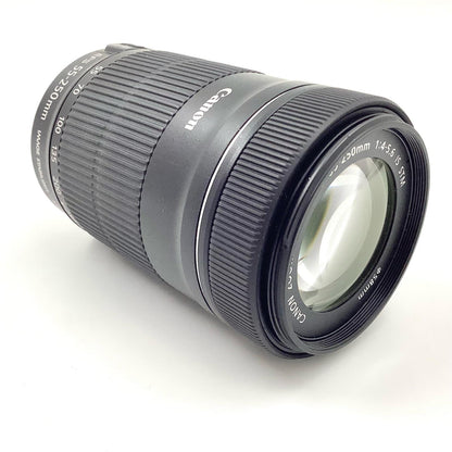 【全額返金保証】【最速発送】Canon EF-S55-250mm F4-5.6 IS STM 美品 動作確認済