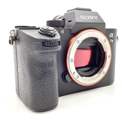 【全額返金保証】【最速発送】Sony デジタル一眼 α7 III ボディ ILCE-7M3 美品 動作確認済