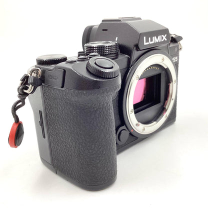 【全額返金保証】【最速発送】Panasonic デジタル一眼 LUMIX S5 ボディ 超美品 動作確認済