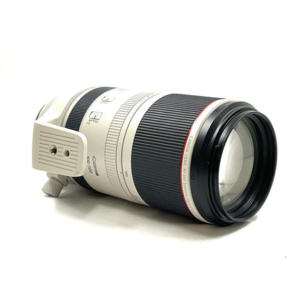 【全額返金保証】【最速発送】Canon RF100-500mm F4.5-7.1 L IS USM 美品 動作確認済