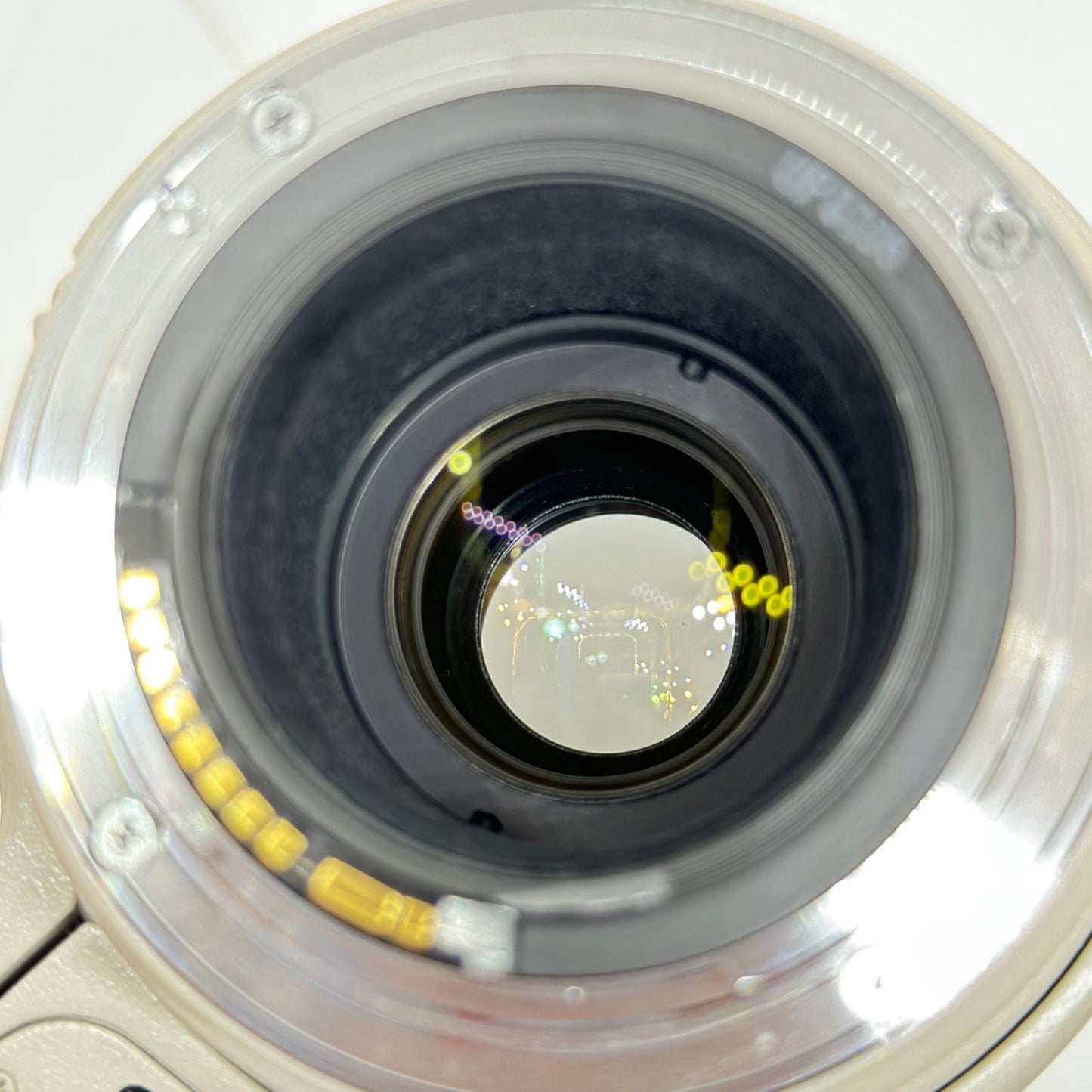 【最速発送】Canon EF 100-400mm F4.5-5.6 L IS USM【難有】