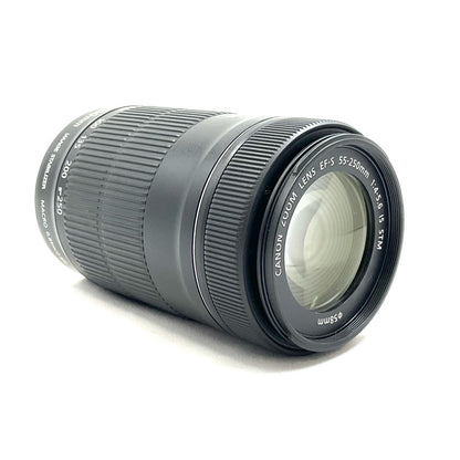 【全額返金保証】【最速発送】Canon EF-S55-250mm F4-5.6 IS STM 美品 動作確認済
