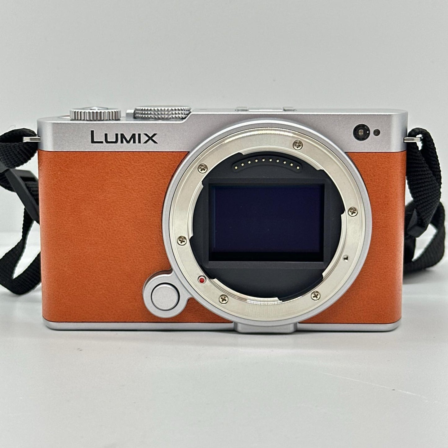【全額返金保証】【最速発送】Panasonic デジタル一眼 LUMIX DC-S9 ボディ 美品 動作確認済