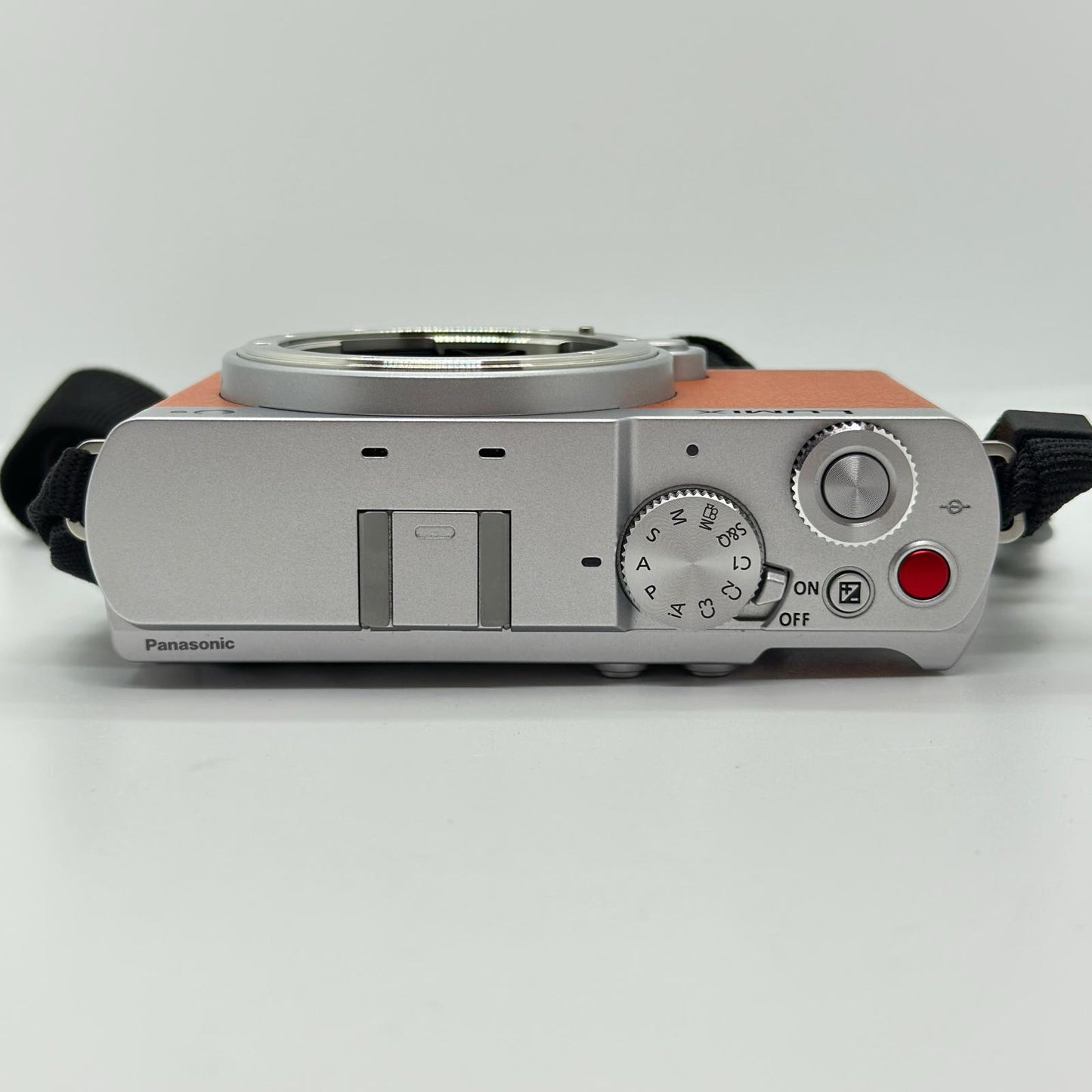 【全額返金保証】【最速発送】Panasonic デジタル一眼 LUMIX DC-S9 ボディ 美品 動作確認済