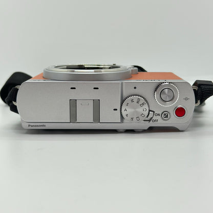 【全額返金保証】【最速発送】Panasonic デジタル一眼 LUMIX DC-S9 ボディ 美品 動作確認済