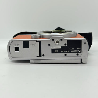 【全額返金保証】【最速発送】Panasonic デジタル一眼 LUMIX DC-S9 ボディ 美品 動作確認済