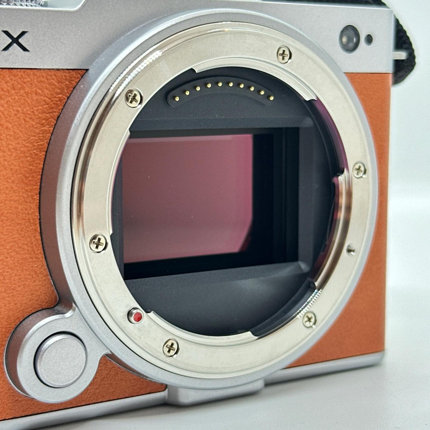 【全額返金保証】【最速発送】Panasonic デジタル一眼 LUMIX DC-S9 ボディ 美品 動作確認済