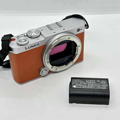 【全額返金保証】【最速発送】Panasonic デジタル一眼 LUMIX DC-S9 ボディ 美品 動作確認済