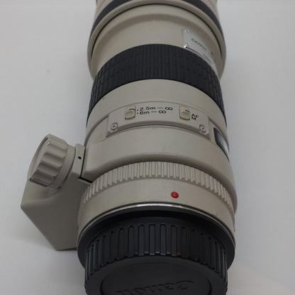 【最速発送】Canon EF300mm F4L IS USM【難有】