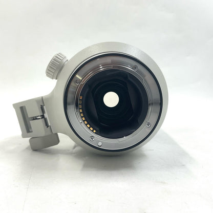 【全額返金保証】【最速発送】Sony FE 100-400mm F4.5-5.6 GM OSS SEL100400GM 超美品 動作確認済