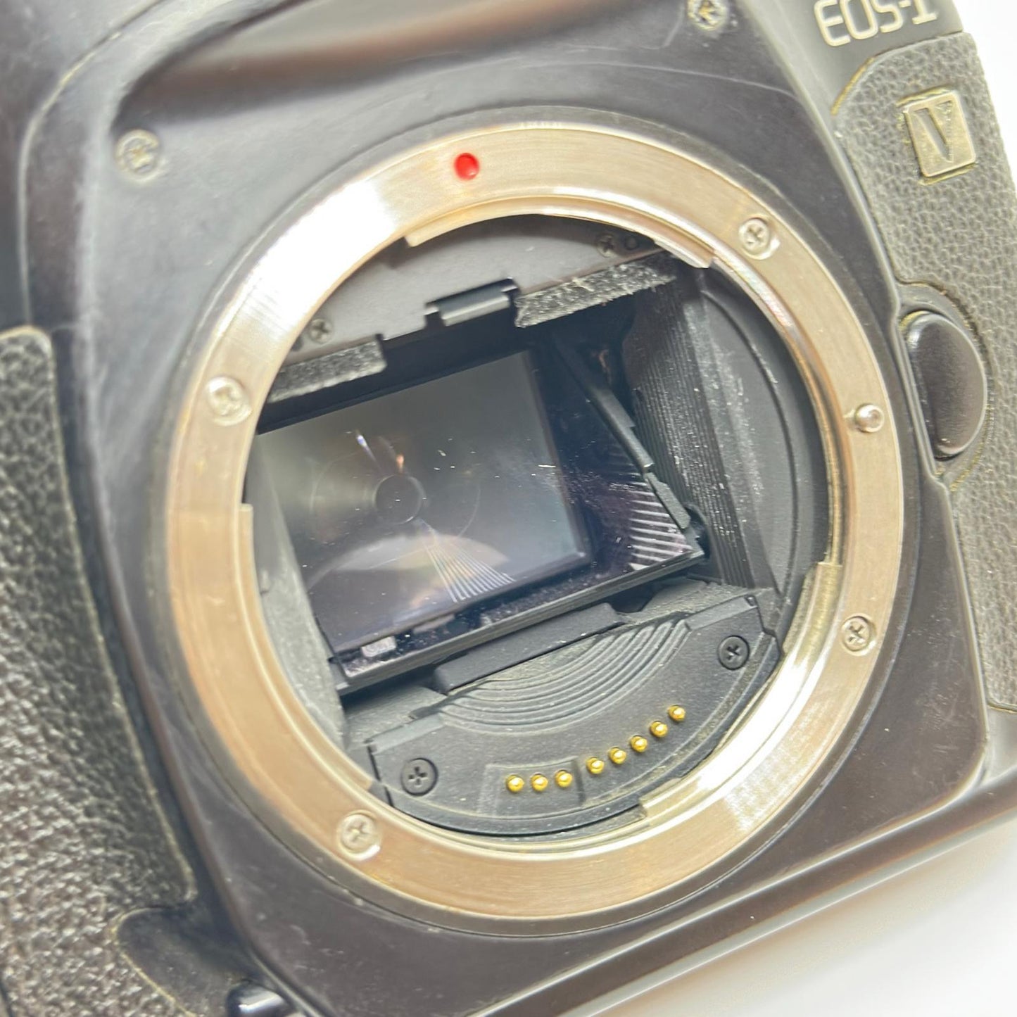 【全額返金保証】【最速発送】Canon EOS-1 V ボディ 動作確認済