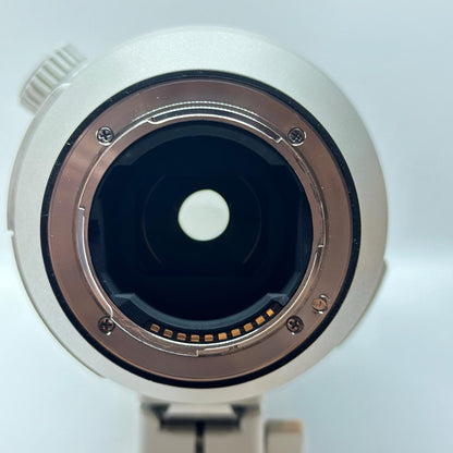 【最速発送】Sony FE 200-600mm F5.6-6.3 G OSS SEL200600G【難有】