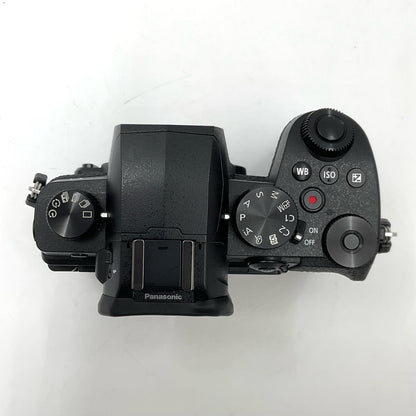 【全額返金保証】【最速発送】Panasonic デジタル一眼 LUMIX DC-G99 ボディ ブラック 美品 動作確認済