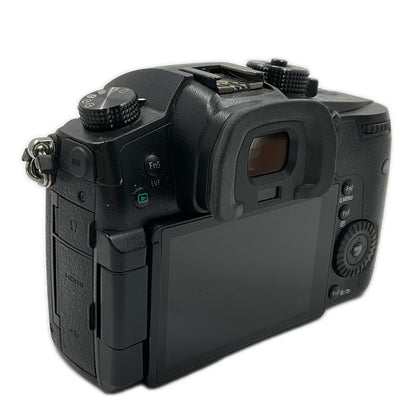 【全額返金保証】【最速発送】 デジタル一眼 LUMIX DC-GH5 ボディ 動作確認済