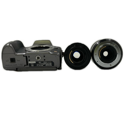 【最速発送】Panasonic デジタル一眼 LUMIX DMC-G6W ダブルズームレンズキット ブラック【難有】