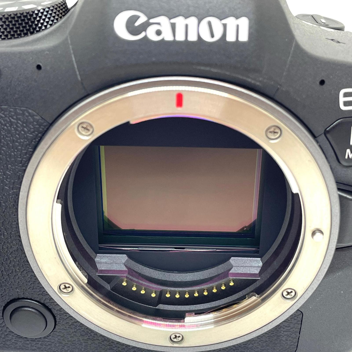 【全額返金保証】【最速発送】Canon デジタル一眼 EOS R6 Mark II ボディ ブラック 超美品 動作確認済