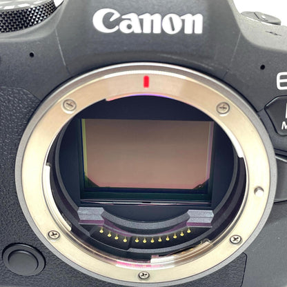 【全額返金保証】【最速発送】Canon デジタル一眼 EOS R6 Mark II ボディ ブラック 超美品 動作確認済
