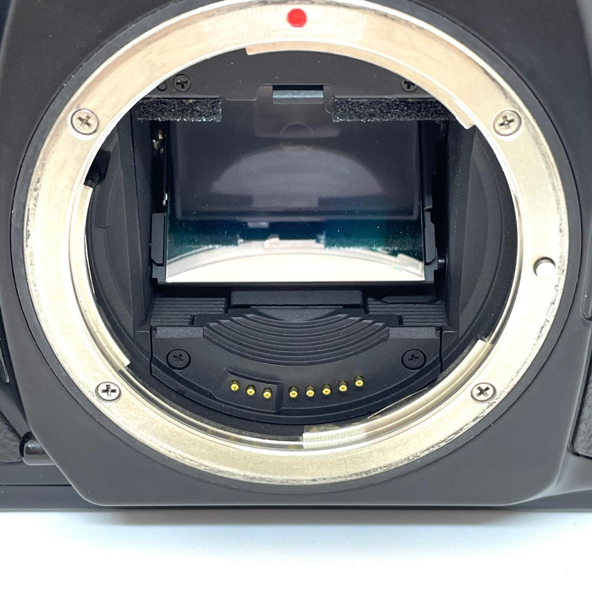 【全額返金保証】【最速発送】 EOS-1V ボディ 動作確認済