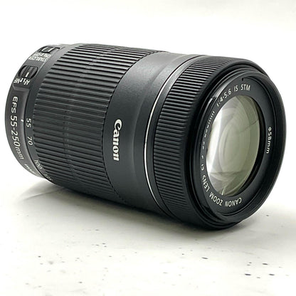 【全額返金保証】【最速発送】Canon EF-S55-250mm F4-5.6 IS STM 美品 動作確認済