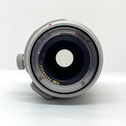 【全額返金保証】【最速発送】Canon EF100-400mm F4.5-5.6L IS II USM 動作確認済