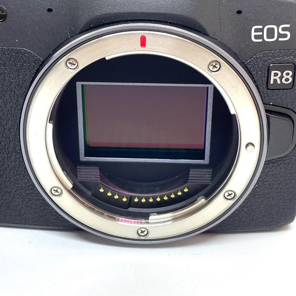 【全額返金保証】【最速発送】Canon デジタル一眼 EOS R8 ボディ 美品 動作確認済